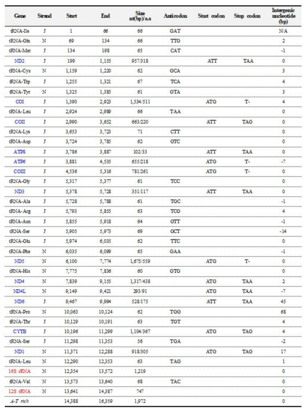 Summary of the complete mitochondrial genome of Laodelphax striatellus (Fallén, 1826) (Hemiptera: Delphacidae) : MK862265 (D7, southern part of Korea)