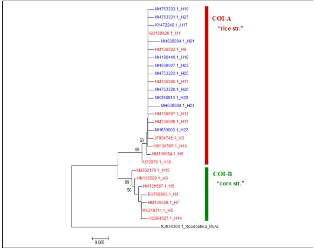 전세계 열대거세미나방 haplotype NJ 분석