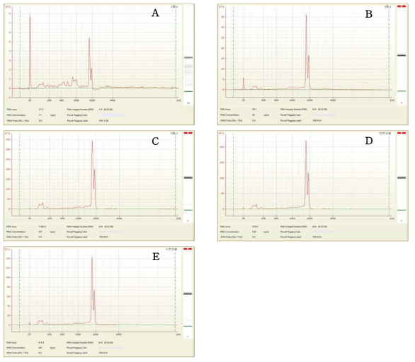 Electropherograms showing RNA quality of respective total RNA extracted from salivary glands of five different developmental stage of Riptortus pedestris (A: 1st instar nymphs; B: 3rd instar nymphs; C: 5th instar nymphs; D: adult female; E: adult male)