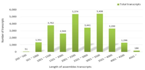 Length distribution of the reference gene set (26,761 transcripts) from salivary gland of R. pedestris