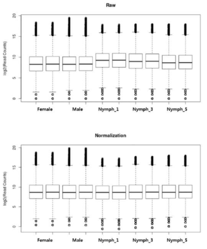 Normalization results conducted with DESeq method on the five salivary gland’s samples of R. pedestris