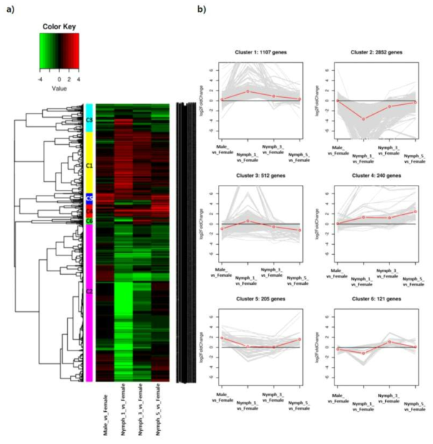 Heatmap (a) and line plot graphs (b) showing results of clustering with 5,037 transcripts, which were selected as DEGs of four samples in comparison with transcripts of female salivary gland