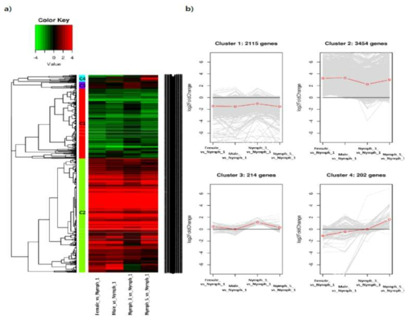 Heatmap (a) and line plot graphs (b) showing results of clustering with 5,985 transcripts, which were selected as DEGs of four samples in comparison with transcripts of 1st instar nymph’s salivary gland