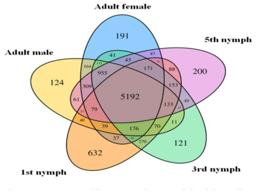 Stage-specific transcripts enriched in salivary glands of Riptortus pedestris (read count ≥ 1,000)