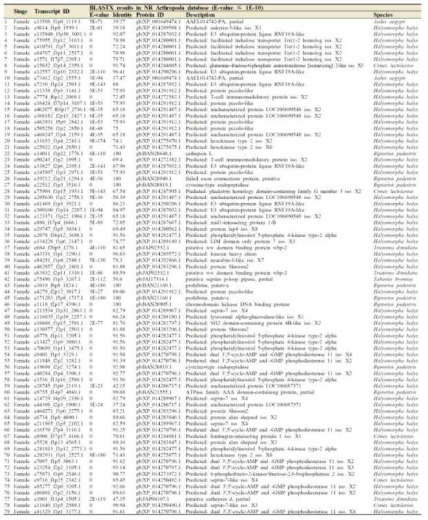 TOP 90 transcripts highly expressed in adult female by using DESeq normalisation. Transcripts with “No hit” by BLASTX were not shown in this table