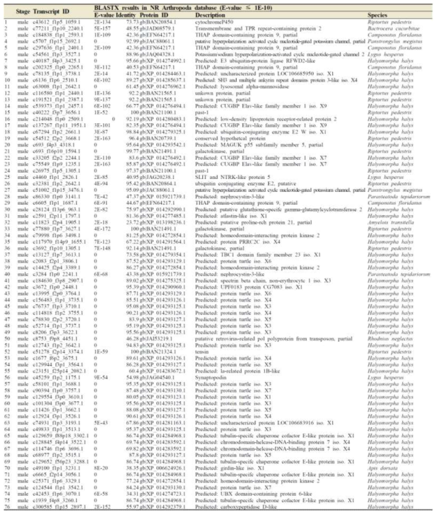 TOP 90 transcripts highly expressed in adult male by using DESeq normalisation. Transcripts with “No hit” by BLASTX were not shown in this table