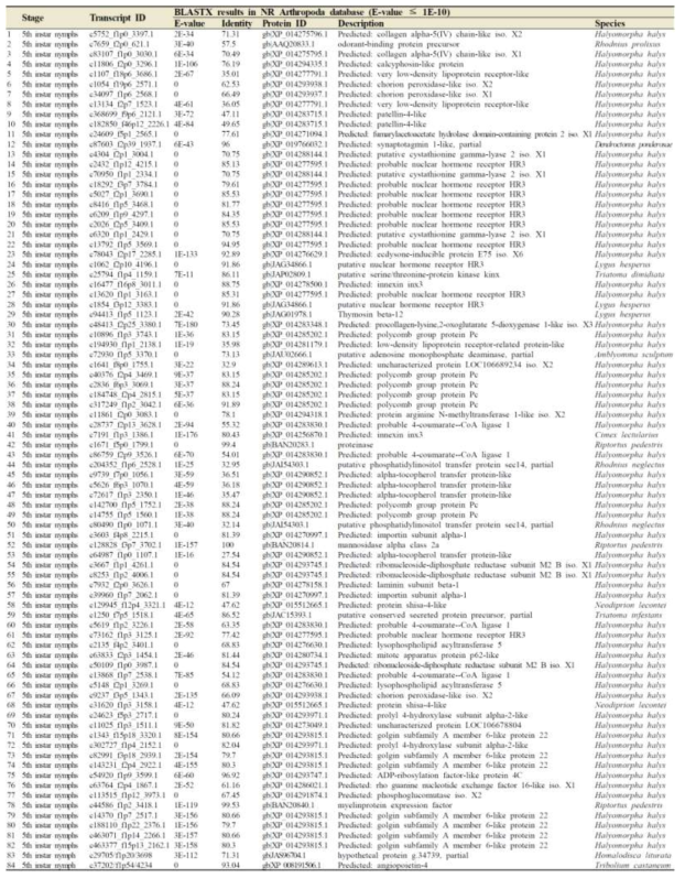 TOP 90 transcripts highly expressed in 5h instar nymphs by using DESeq normalisation. Transcripts with “No hit” by BLASTX were not shown in this table