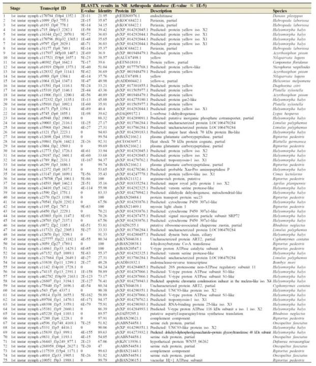 TOP 90 transcripts highly expressed in the first instar stage by using DESeq normalisation. Transcripts with “No hit” by BLASTX were not shown in this table