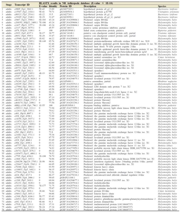 TOP 90 transcripts highly expressed in adult stage by using DESeq normalisation. Transcripts with “No hit” by BLASTX were not shown in this table