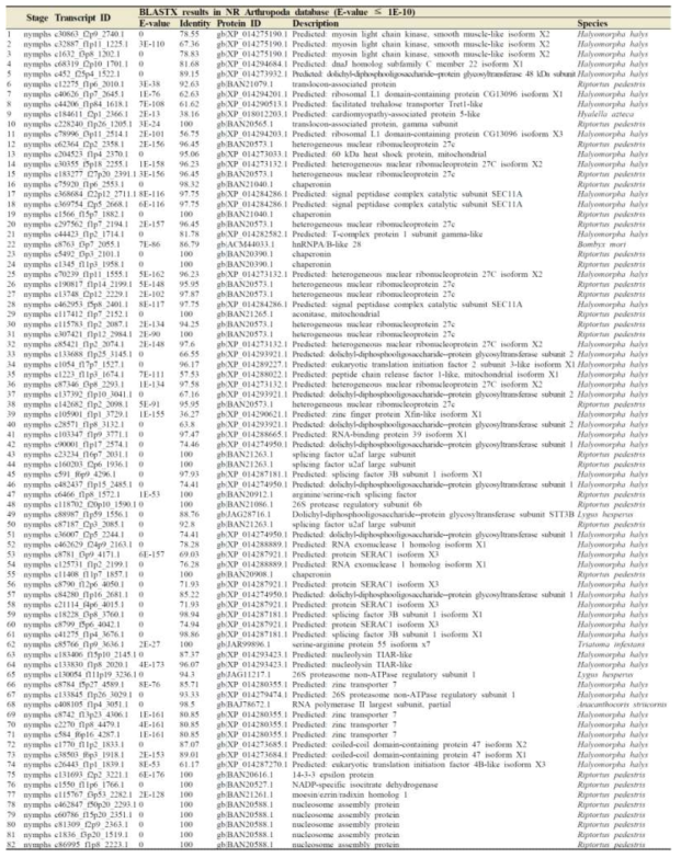 TOP 90 transcripts highly expressed in nymphal stage by using DESeq normalisation. Transcripts with “No hit” by BLASTX were not shown in this table