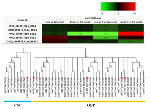 Differential expression (Log2FoldChange by DESeq) and NJ phylogenetic tree (JTT; 1,500 bootstraps) of odorant binding protein and chemosensory protein candidates found in salivary glands of R. pedestris