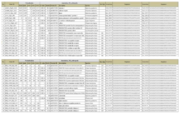 Primer list for the synthesis of dsRNAs as a candidate control agent against Riptortus pedestris using RNA interference