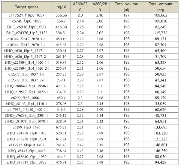 Results of dsRNA synthesis in this study