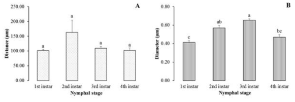 Location (mean ± SE) (A) and diameter (mean ± SE) (B) of coelocapitular sensillum-like in the terminal antennal flagellum of Riptortus pedestris depending on the nymphal stage. The same letters on the bar indicate that there are no significant differences in the 95% confidence level. (Tukey’s HSD test, α = 0.05). Distances of sensilla from the tip of antenna among four nymphal stages are not significantly different at p < 0.05 (One-way ANOVA, F-value = 2.73693, p-value = 0.067901), but diameters of sensilla among four nymphal stages are significantly different at p < 0.05 (One-way ANOVA, F-value = 20.3908, p-value = 0.00001)