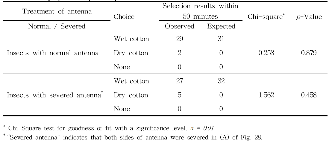 Choice test between wet and dry cotton ball in a petri dish (Ø 100 mm) by the first instar nymphs of Riptortus pedestris with normal and severed antenna