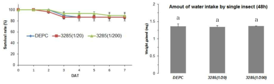 Survival rate (%) of the first instar nymphs of Riptortus pedestris after direct feeding of dsRNAs and water intake amount (mg) for 48 hours