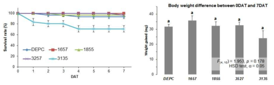 Survival rate (%) of the first instar nymphs of Riptortus pedestris after direct feeding of dsRNAs and water intake amount (mg) for seven days