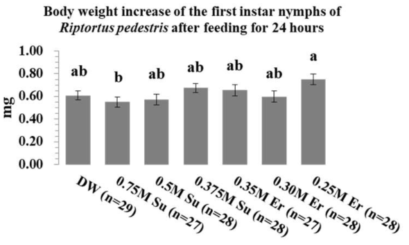 Comparison of body weight increase after 24h-feeding of DW (distilled water) and two sweetener solutions (Su: Sucrose, Er: Erythritol)