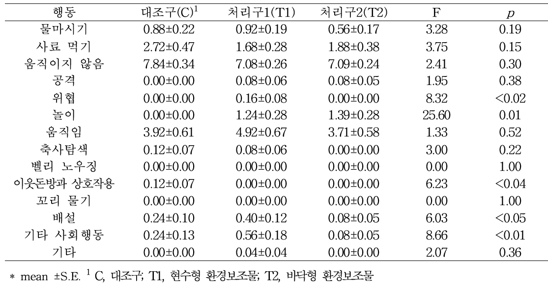 2일차 행동 유형별 빈도