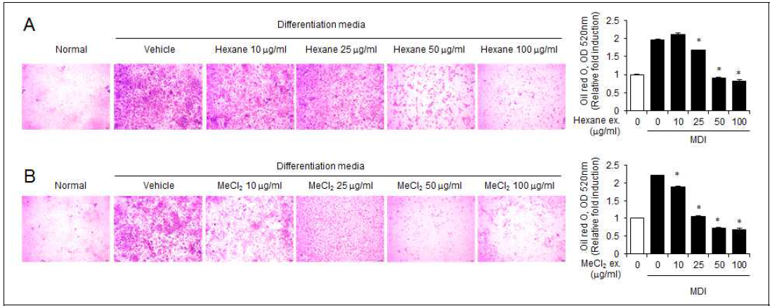 감초 추출물의 헥산 분획과 디클로로메탄 분획에 의한 지방세포 분화 억제