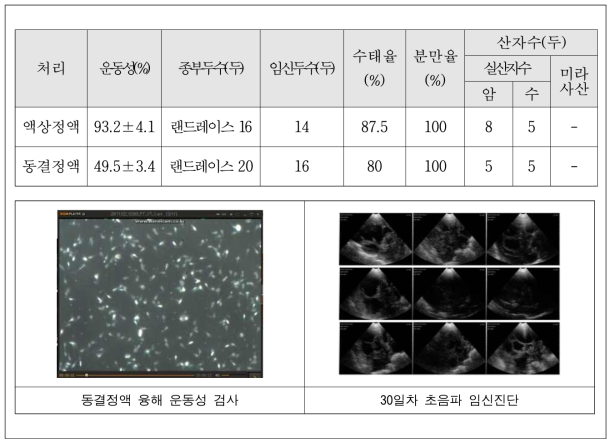 동결융해 정액의 인공수정 후 생산성 분석