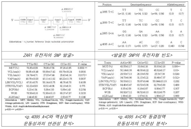 ZAR1 유전자의 SNP확인 및 정액의 운동성과의 연관성 분석