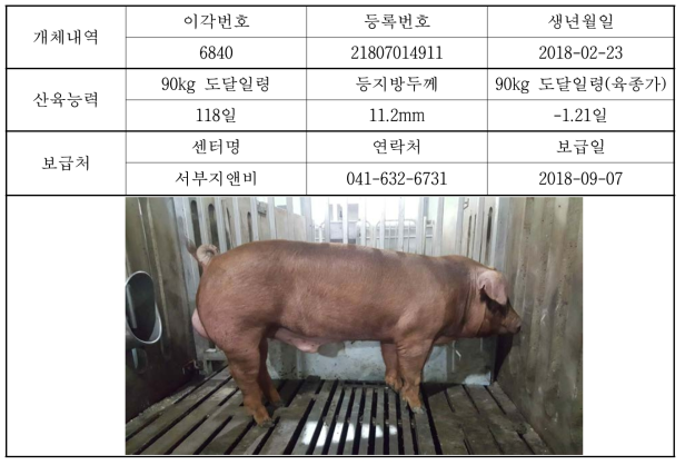 2018년 우수 인공수정센터에 보급된 축진듀록 개체 정보