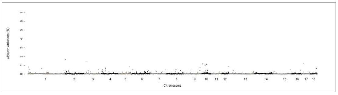 Manhattan plot identifying SNP associated with ADG trait in Yorkshire pigs