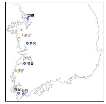 왕우렁이 월동지역