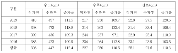 영주 홍로의 수체생장