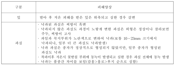 2018년 사과 발아 및 개화기 저온피해 양상