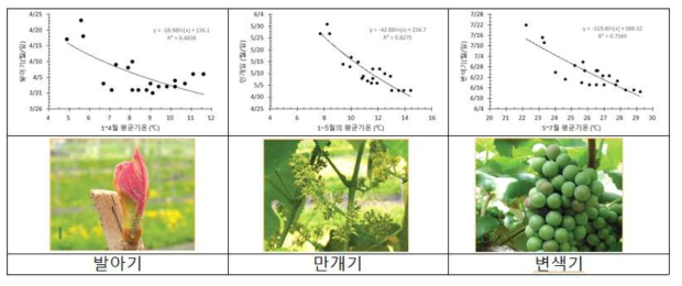 기온 상승에 따른 포도 ‘거봉’의 생육기 변화 (2017~2019)