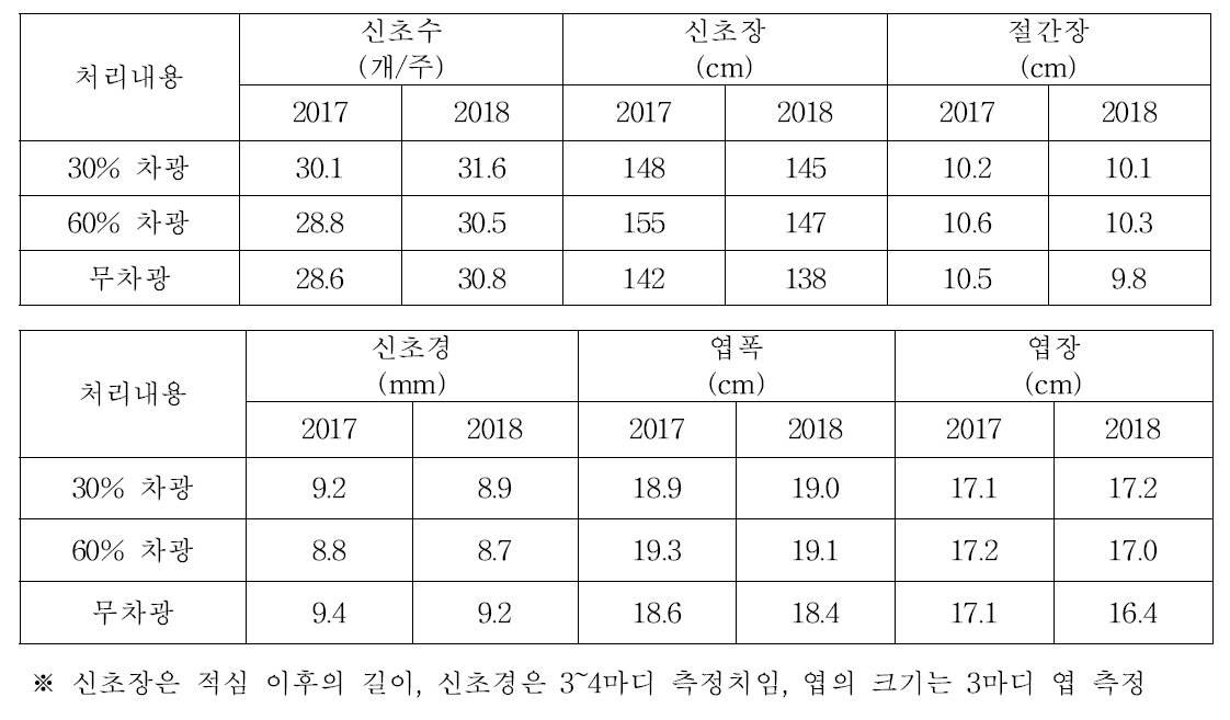 포도 차광에 따른 수체생육 비교