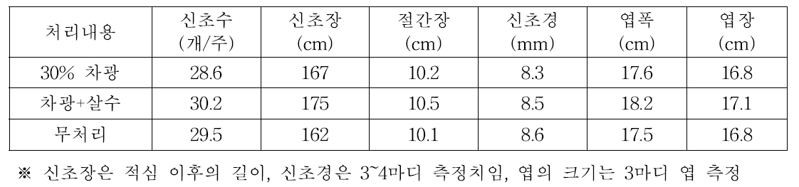 처리별 수체생육 비교