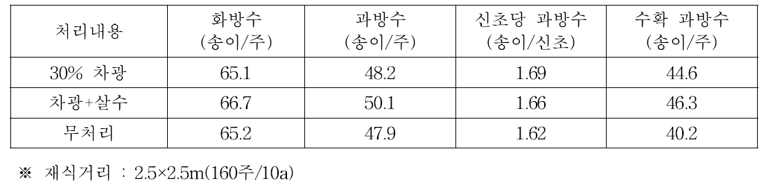 처리별 착과량 비교