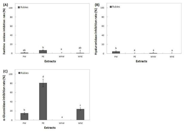 Inhibition activity of extracts from apple (Ruby S) on xanthine oxidase (A), hyaluronidase (B), and α-glucosidase (C). Means with different superscript letters are significantly different at P<0.05 by a Duncan’s multiple range tests. 1) PW: peel water extracts, 2) PE: peel ethanol extracts, 3) WhW: whole fruit water extracts and 4) WhE: whole fruit ethanol extracts