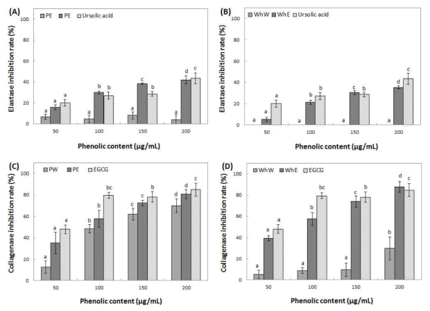 Inhibition activity of water and ethanol extracts from peel (A, C) and whole (B, D) of Ruby S on elastase and collagenase. Means with different superscript letters are significantly different at P<0.05 by a Duncan’s multiple range tests. 1) PW: peel water extracts, 2) PE: peel ethanol extracts, 3) WhW: whole fruit water extracts and 4) WhE: whole fruit ethanol extracts