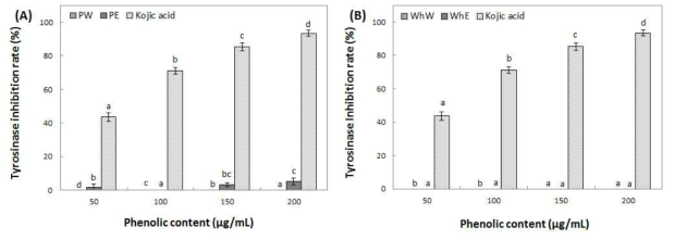 Inhibition activity of water and ethanol extracts from peel (A) and whole (B) of Honggeum on tyrosinase. Means with different superscript letters are significantly different at P<0.05 by a Duncan’s multiple range tests. 1) PW: peel water extracts, 2) PE: peel ethanol extracts, 3) WhW: whole fruit water extracts and 4) WhE: whole fruit ethanol extracts