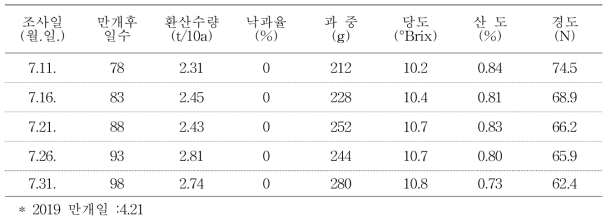 썸머킹 수확 시기별 과일 특성 및 환산 수량 (2019)