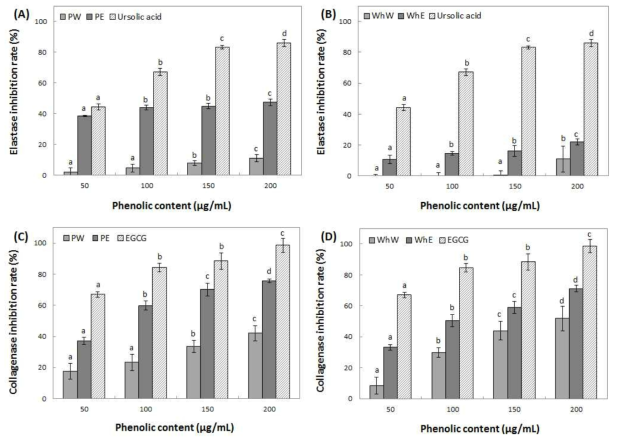 Inhibition activity of water and ethanol extracts from peel (A, C) and whole (B, D) of Hwangok on elastase and collagenase. Means with different superscript letters are significantly different at P<0.05 by a Duncan’s multiple range tests. 1) PW: peel water extracts, 2) PE: peel ethanol extracts, 3) WhW: whole fruit water extracts and 4) WhE: whole fruit ethanol extracts