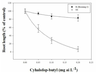 Cyhalofop-butyl 처리 후 대표적인 저항성(보성2) 및 표준 감수성 물피 GR50