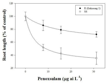 Penoxsulam 처리 후 대표적인 저항성(곡성1) 및 표준 감수성 논피 GR50