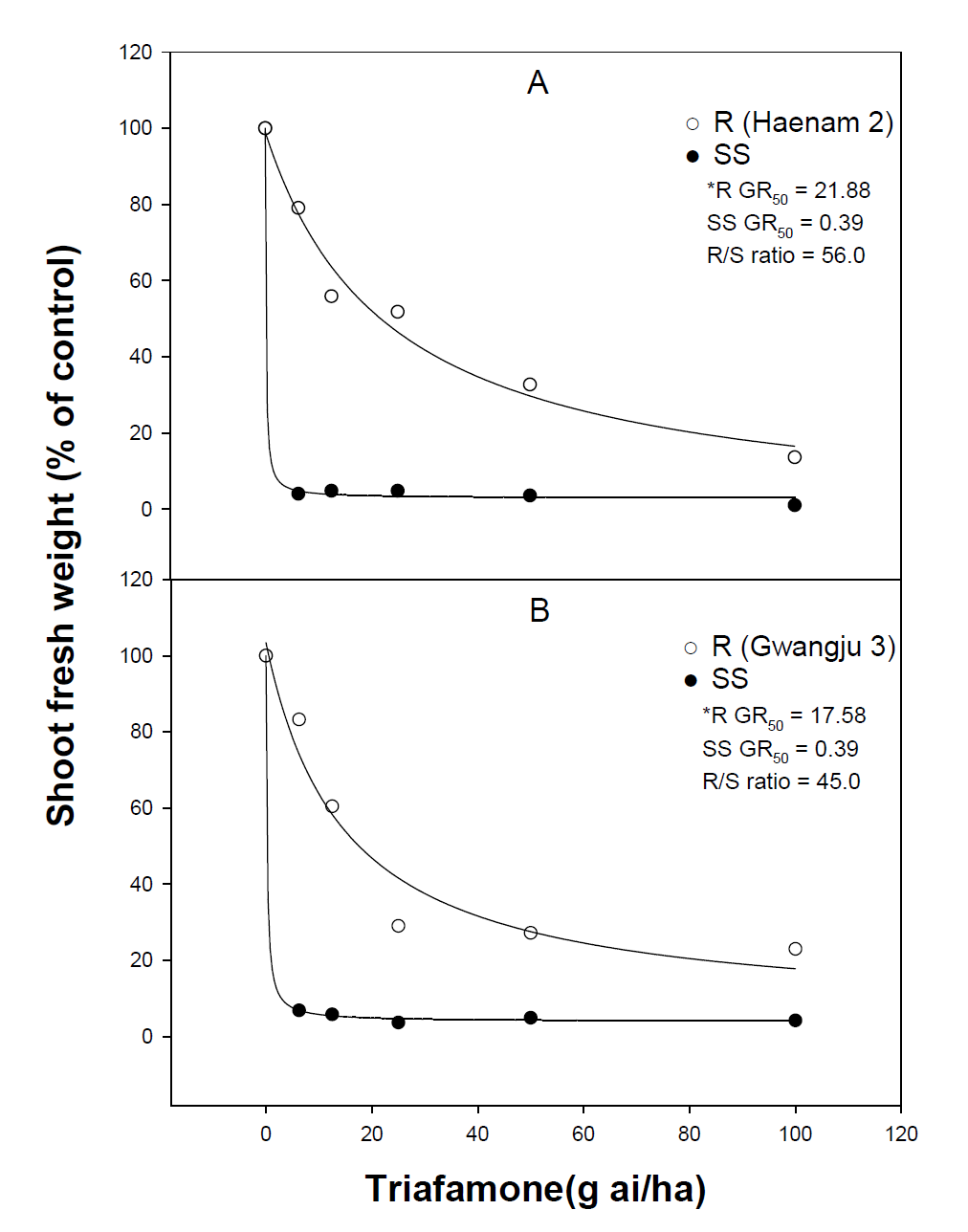 Triafamone 처리 후 대표적인 저항성 및 감수성 강피(A)와 물피(B) GR50
