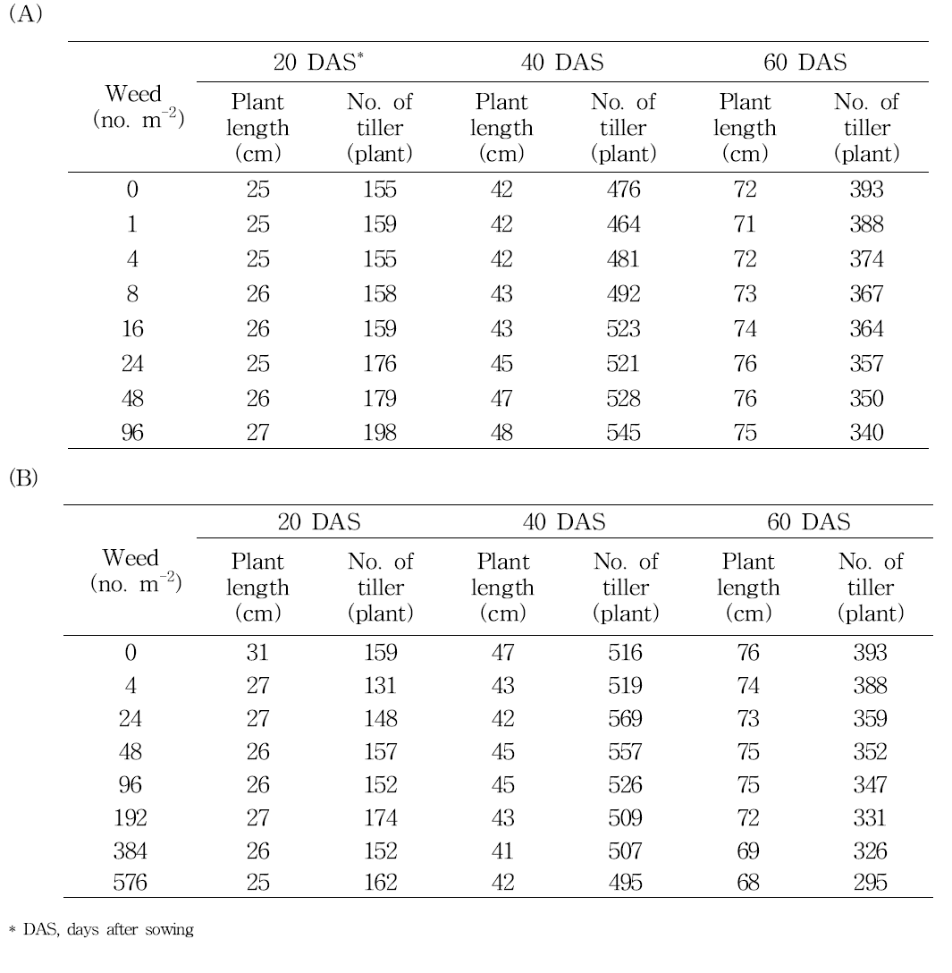 Plant height and number of tiller as affected by densities of Echinochloa crus-galli (A) and Monochoria vaginalis (B)