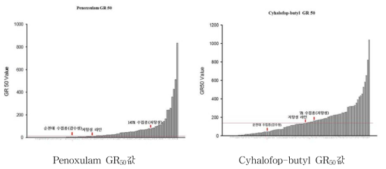 Growth pouch법을 활용한 GR50값