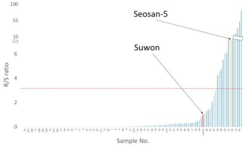 경기ㆍ강원지역 시군별 Penoxsulam 저항성 물피의 R/S ratio 값