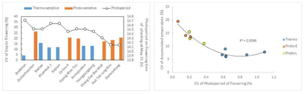 Relationships between the CVs (coefficient of variation) of photoperiod and accumulated temperature for vegetative growth period (Thermo : Temperature responsive, Photo : photoperiod responsive, E : early maturing cultivar, L : late maturing cultivar)