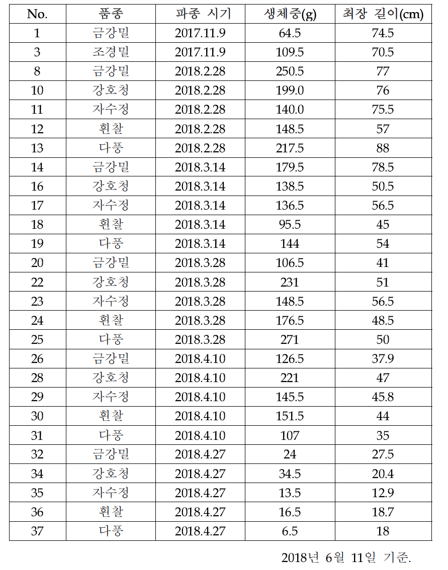 극만파, 춘파 맥류 생육 조사