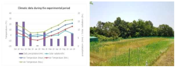 (좌)2018년 10월~2019년 6월 이천시 기상 데이터, (우)파종기 이동 실험 포장 전경 (2019년 5월 29일 촬영)