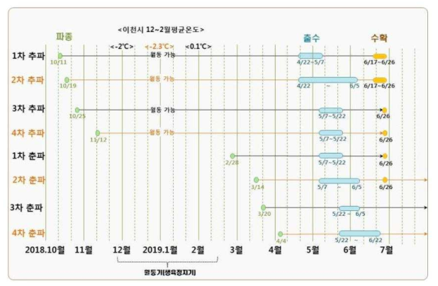 맥류 유전자원 및 교배 후대 계통의 파종기 이동 실험. 추파·춘파 파종 시기별 출수/ 수확기